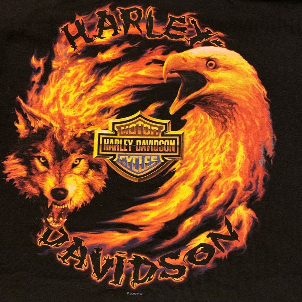 Vintage HARLEY DAVIDSON South Africa XXL T Shirt